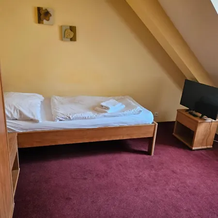 Hotel Barbarossa Хеб Экстерьер фото